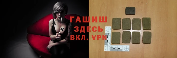 стаф Арсеньев