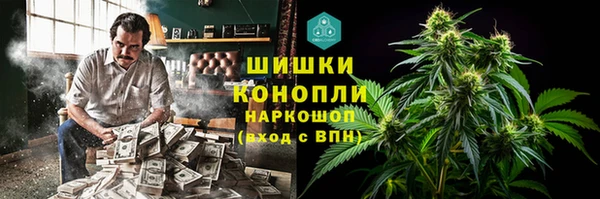 стаф Арсеньев