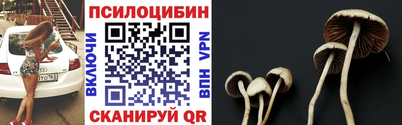 Купить  Тарко-Сале  Галлюциногенные грибы Psilocybe 